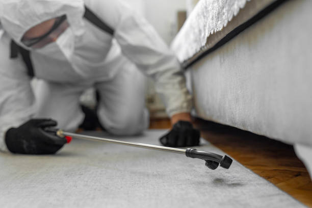 Professional Termite Control technician working in Towaco, NJ